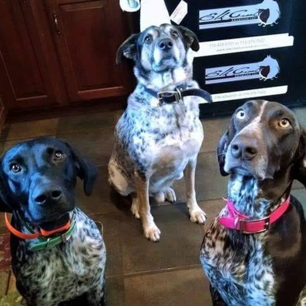 Meet your Posher, Cassie